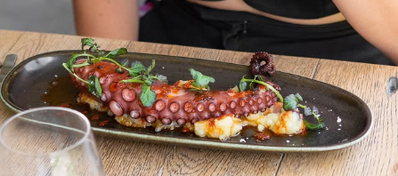 Grilled octopus with Cerdanya trinxat
