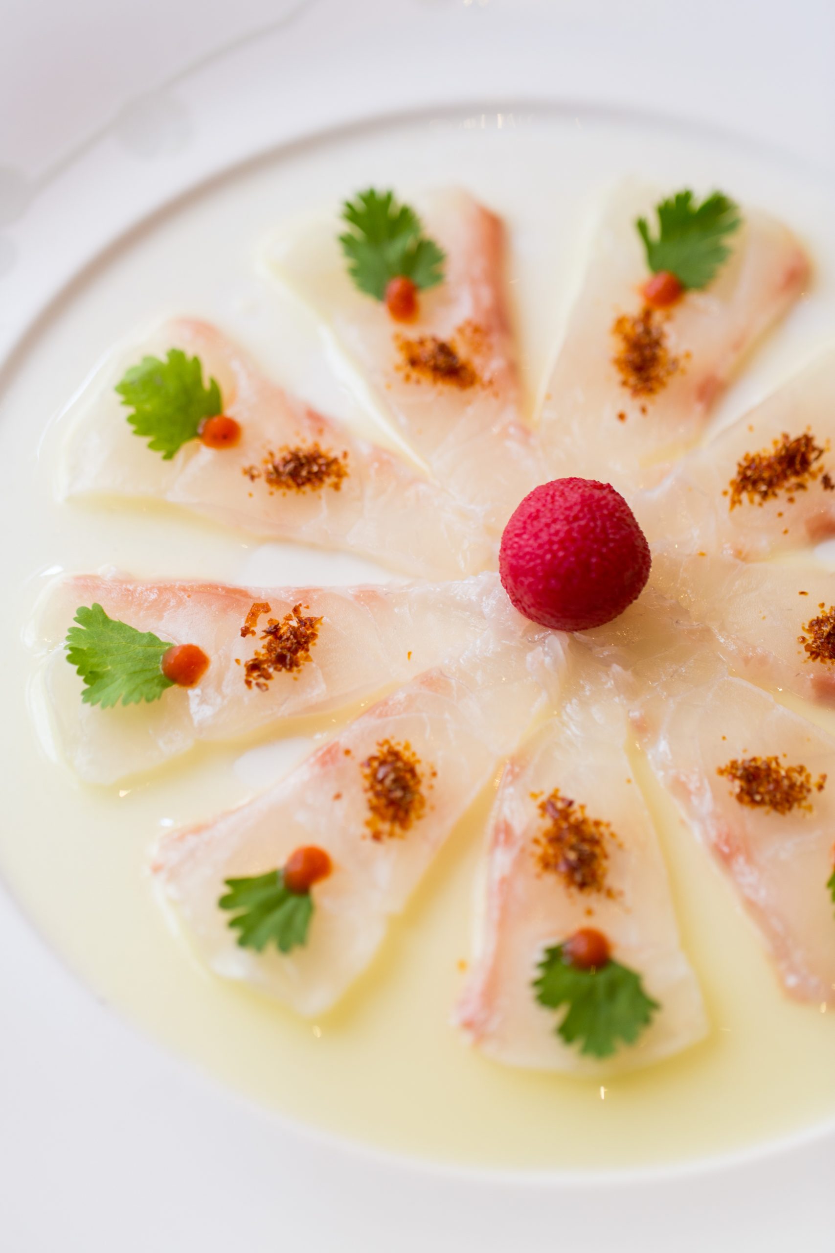 Whitefish Tiradito
